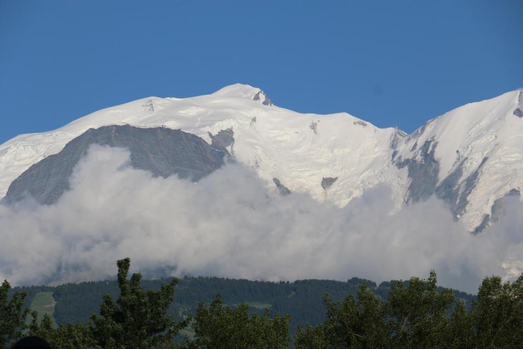パッシーにあるMobil Home Chamonix Mont Blancの雪山