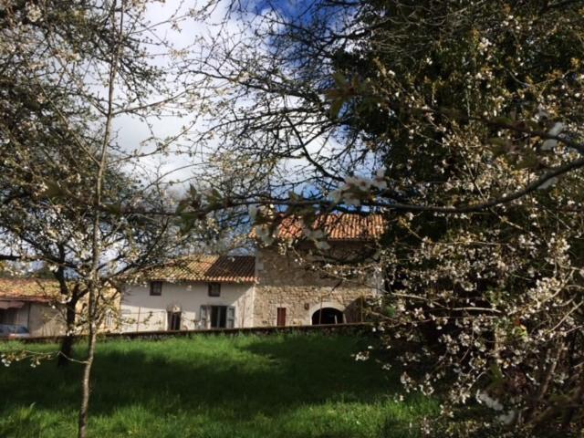 ein großes weißes Haus auf einem Feld mit Bäumen in der Unterkunft La Grange du Lac de Cantalès in Lacapelle-Viescamp