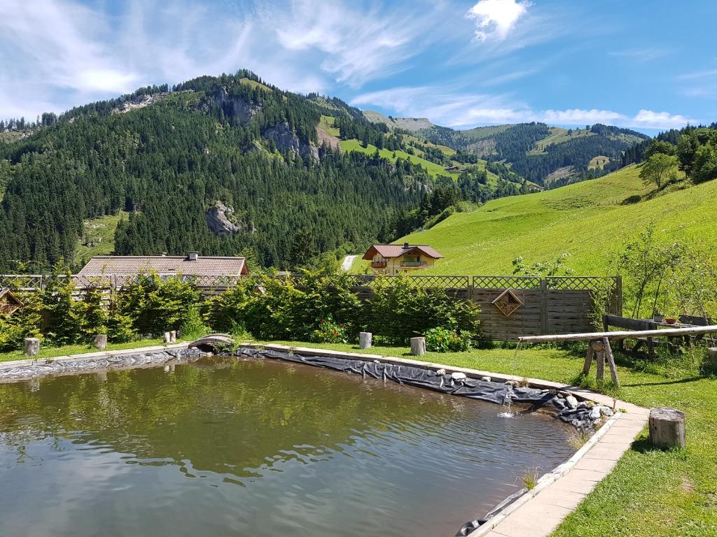 Příroda nedaleko apartmánu