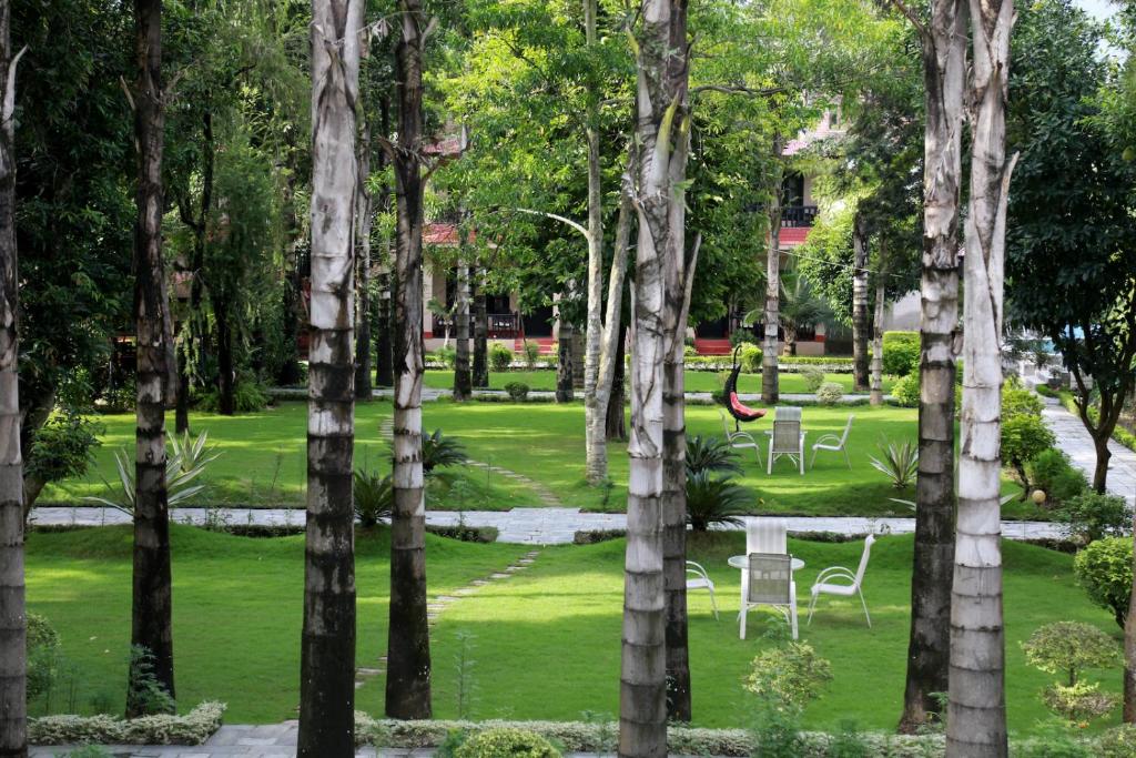 Zahrada ubytování Hotel Parkland