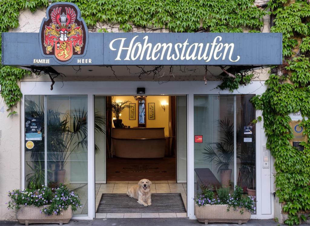 ゲッピンゲンにあるホテル ホーヘンシュタウフェンの店の出入り口に座る犬