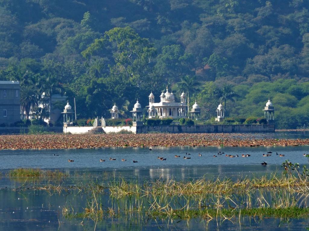 a temple in the middle of a lake with ducks in the water at Udai Bilas Palace in Dūngarpur