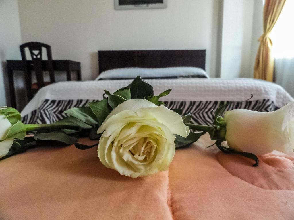 Postel nebo postele na pokoji v ubytování Hostal La Rosa Otavalo