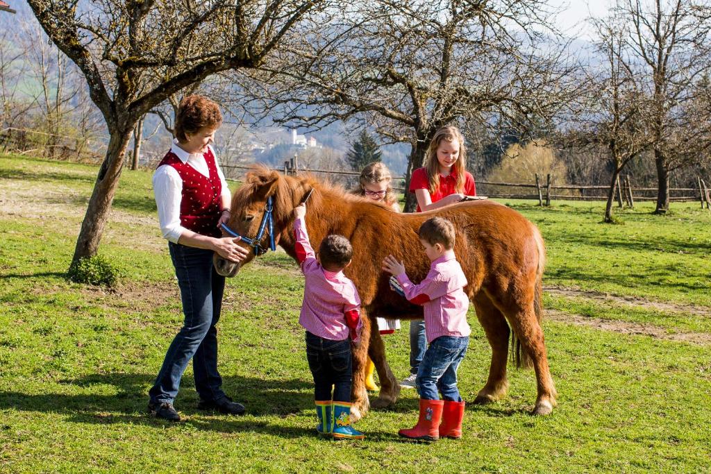 Deti v ubytovaní Familienparadies Zeislerhof