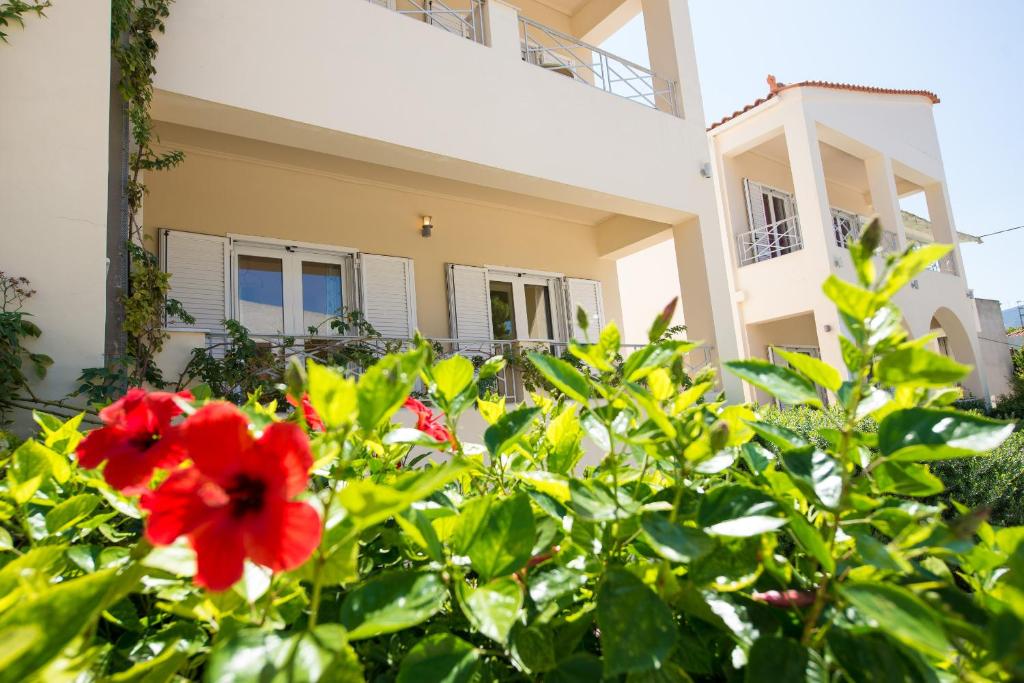 Κήπος έξω από το Villa Muses