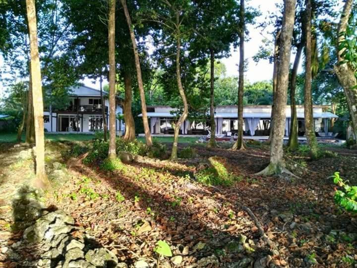 Zahrada ubytování Cahuita Inn