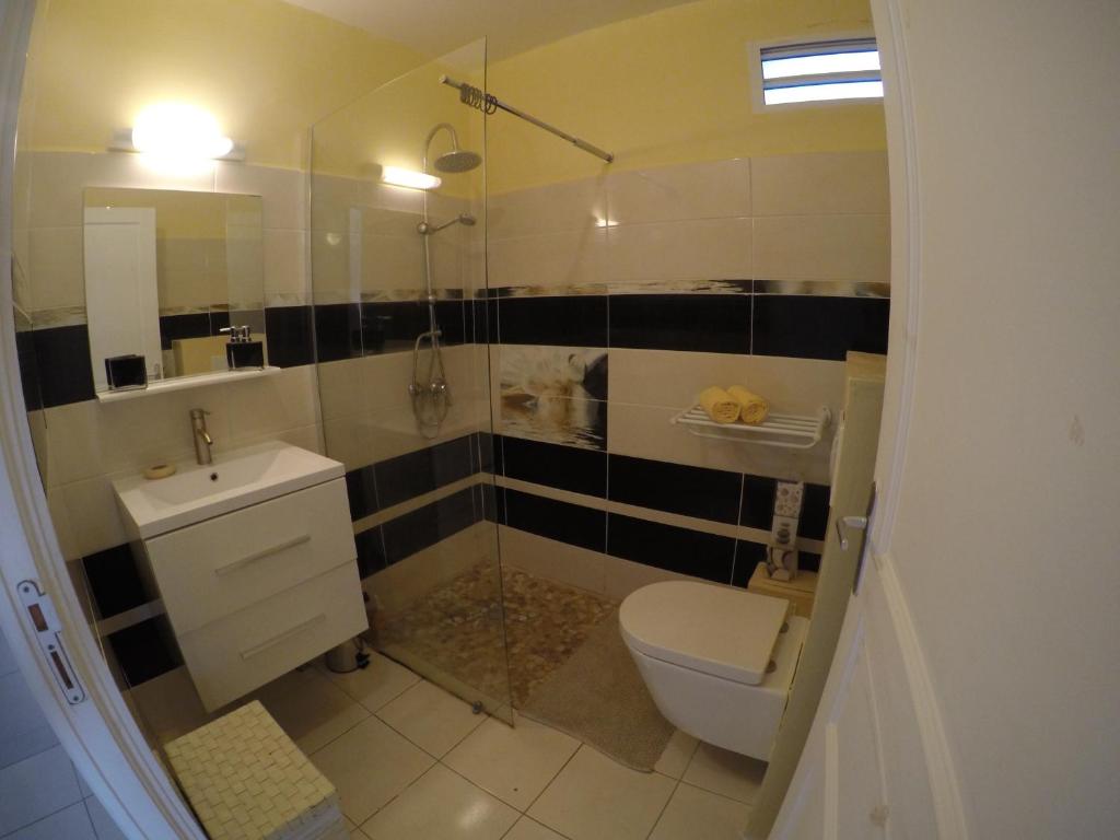a bathroom with a shower and a toilet and a sink at Appartement Coeur de Papillon in Baie-Mahault