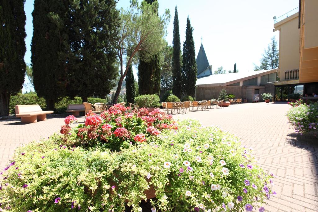 Zahrada ubytování Hotel Oasi Dei Discepoli