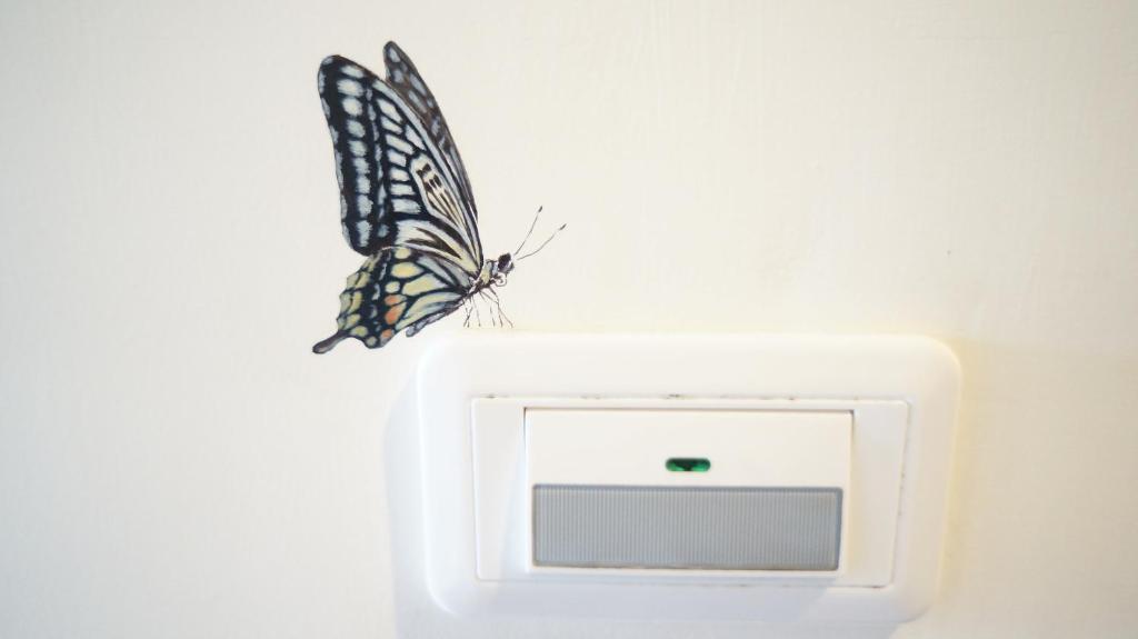 Fotografie z fotogalerie ubytování Butterfly B&B v destinaci Manzhou
