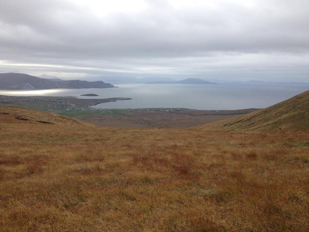 a grassy field with a view of a body of water at High Road Cottage in Achill