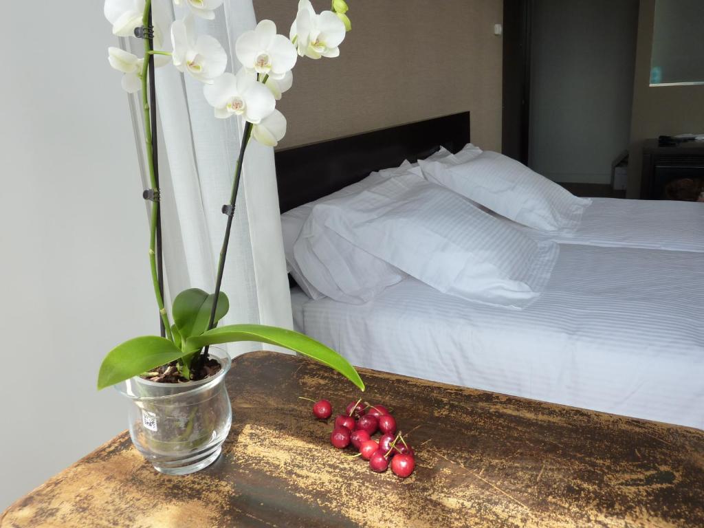 Hotel San Miguel - Resim 12