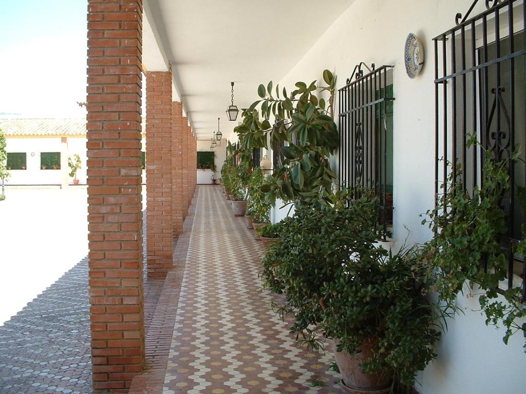 Fotografie z fotogalerie ubytování Cortijo de Frías v destinaci Cabra