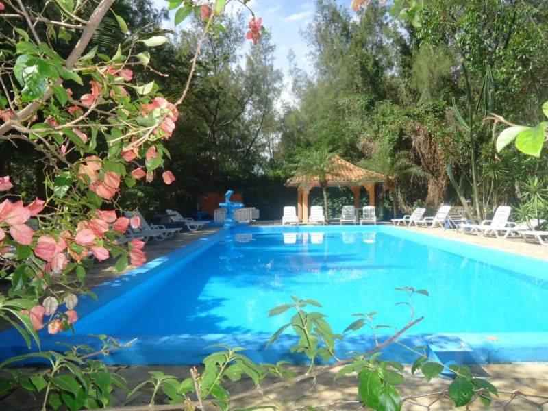 a large blue swimming pool with a gazebo at Pousada Fazendinha Tatuira in Imbé