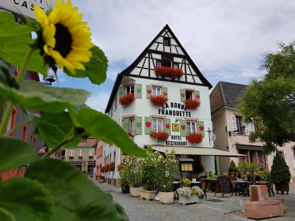 a building with a sunflower in front of it at La Bonne Franquette in Villé