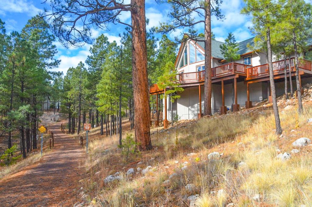 a house on a hill in the woods at The Holland Home in Flagstaff
