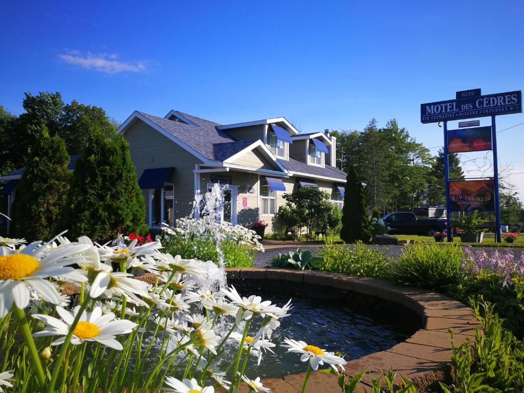 Zahrada ubytování Motel des Cèdres