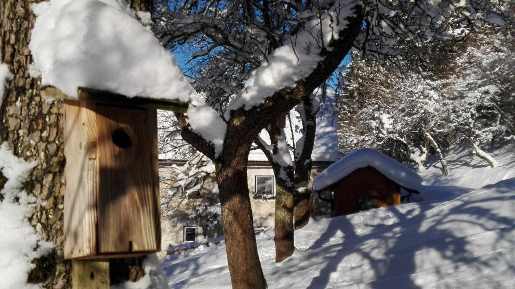 Ferienhaus Hirschnest kapag winter