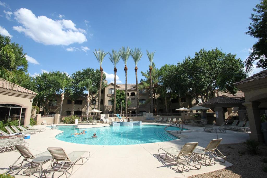 a swimming pool with chairs and palm trees at Villa Signature in Scottsdale