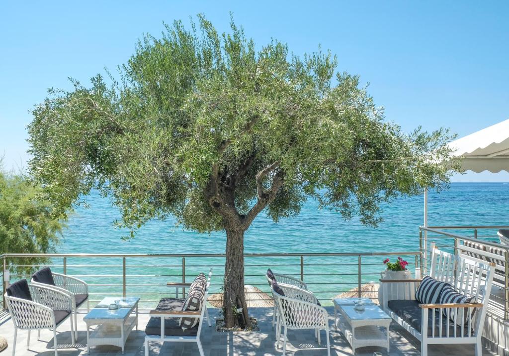 a group of chairs and a tree next to the water at Acrotel Athena Villa in Elia
