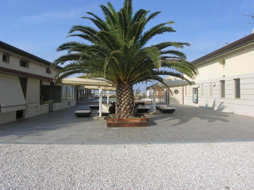 リド・ディ・カマイオーレにあるStabilimento balneare Bragozzoの中庭のヤシの木