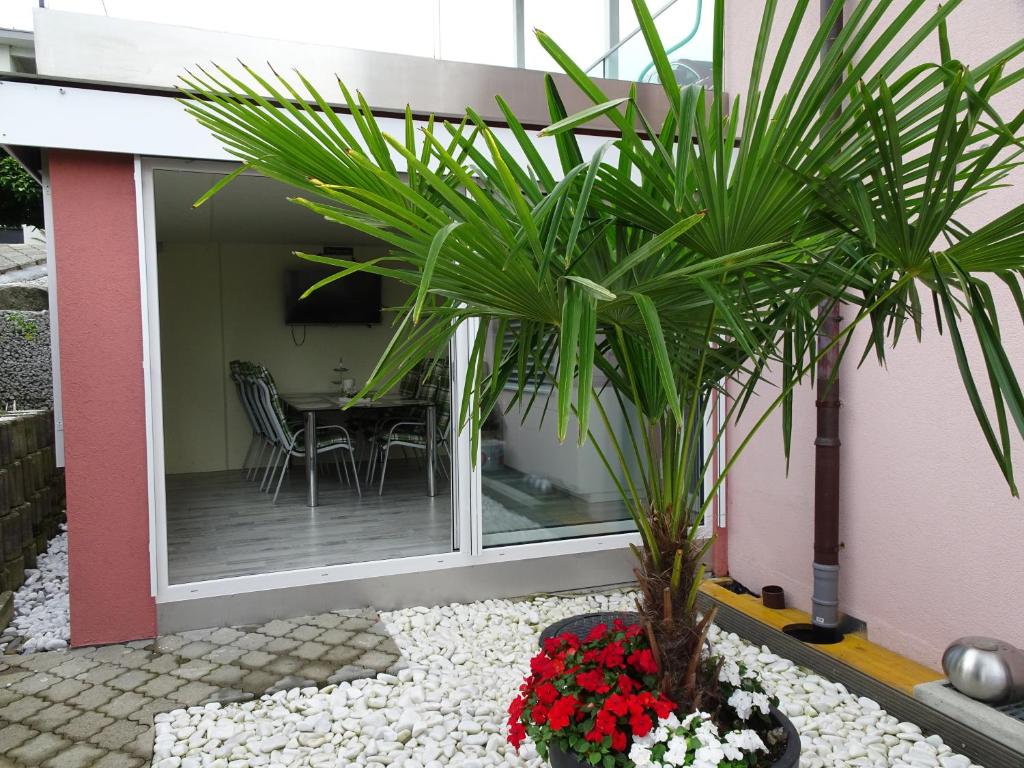 Patio nebo venkovní prostory v ubytování B & B Hartenfels 73