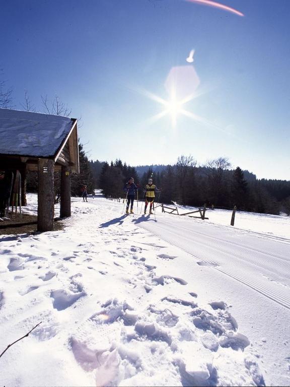 Haus zur Sonne Sauerland v zimě