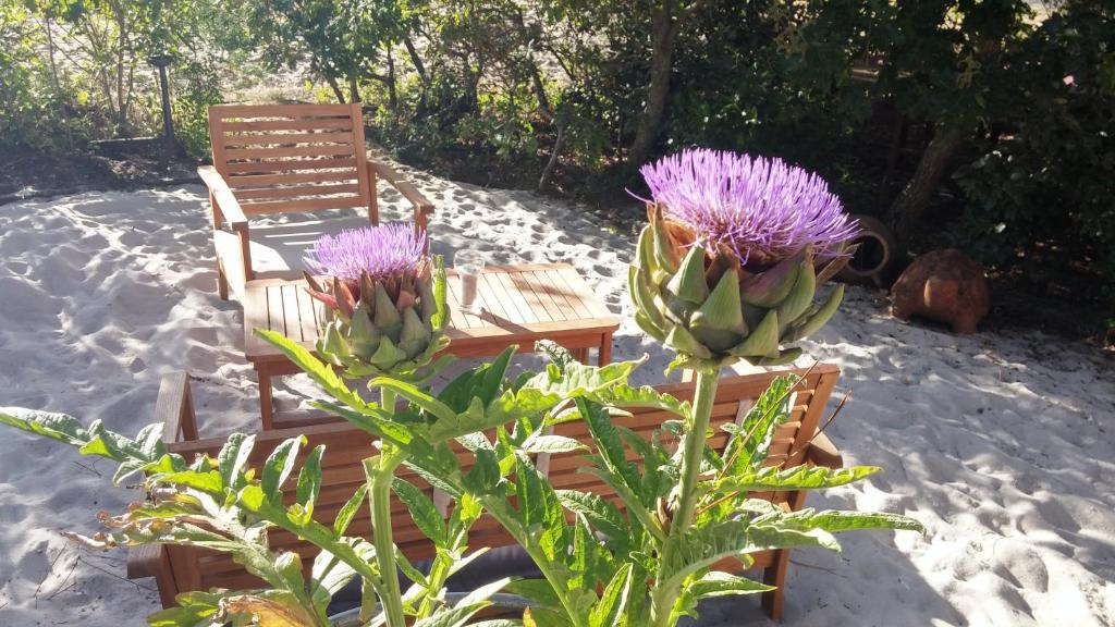 Giardino di Le Relais de la Praya