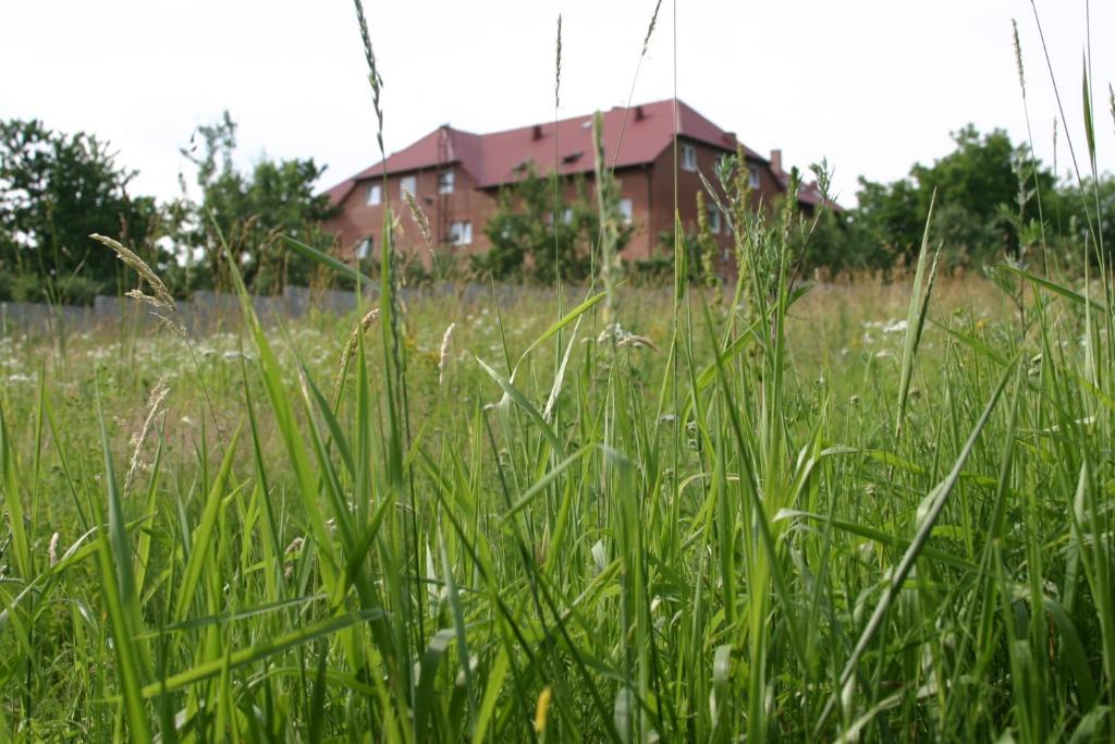 Ogród w obiekcie Motel u Olka Boczów