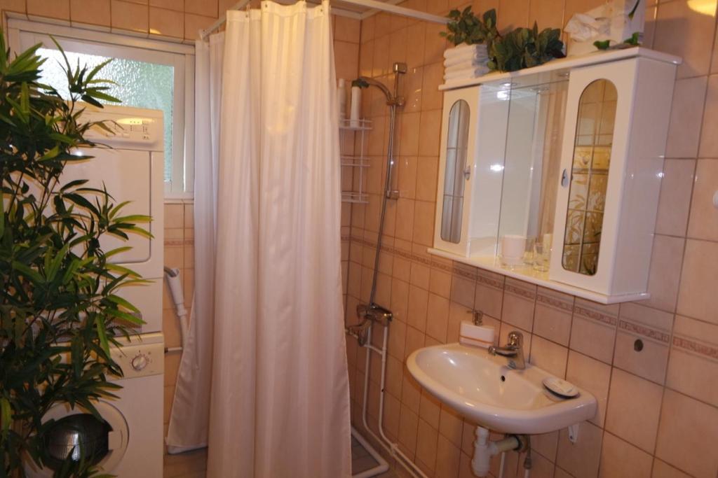 Koupelna v ubytování Hedemora Logi