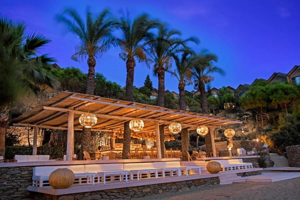 A garden outside Club Marvy