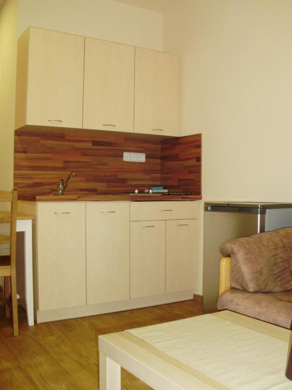 Kuchyň nebo kuchyňský kout v ubytování Hotel Zámeček na Čeladné