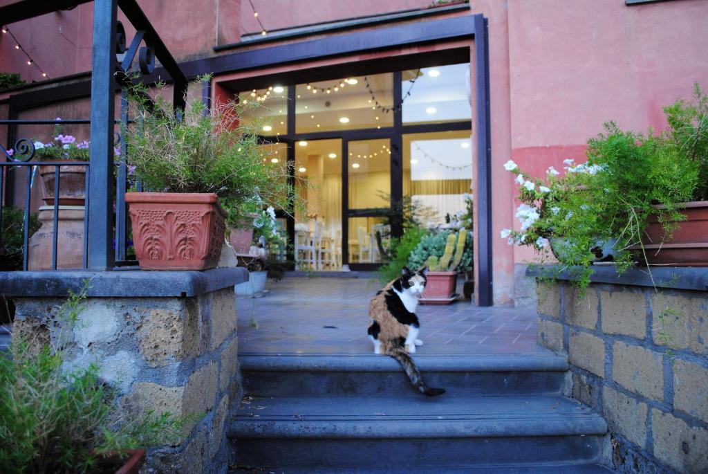 Hosté ubytování Hotel Tuscania Panoramico