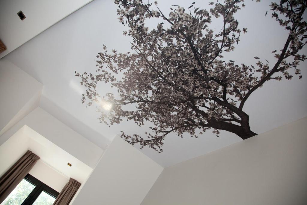 Hotel Sole - Resim 12