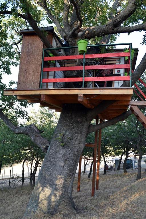 Fotografie z fotogalerie ubytování Casa sull'Albero v destinaci Lentella