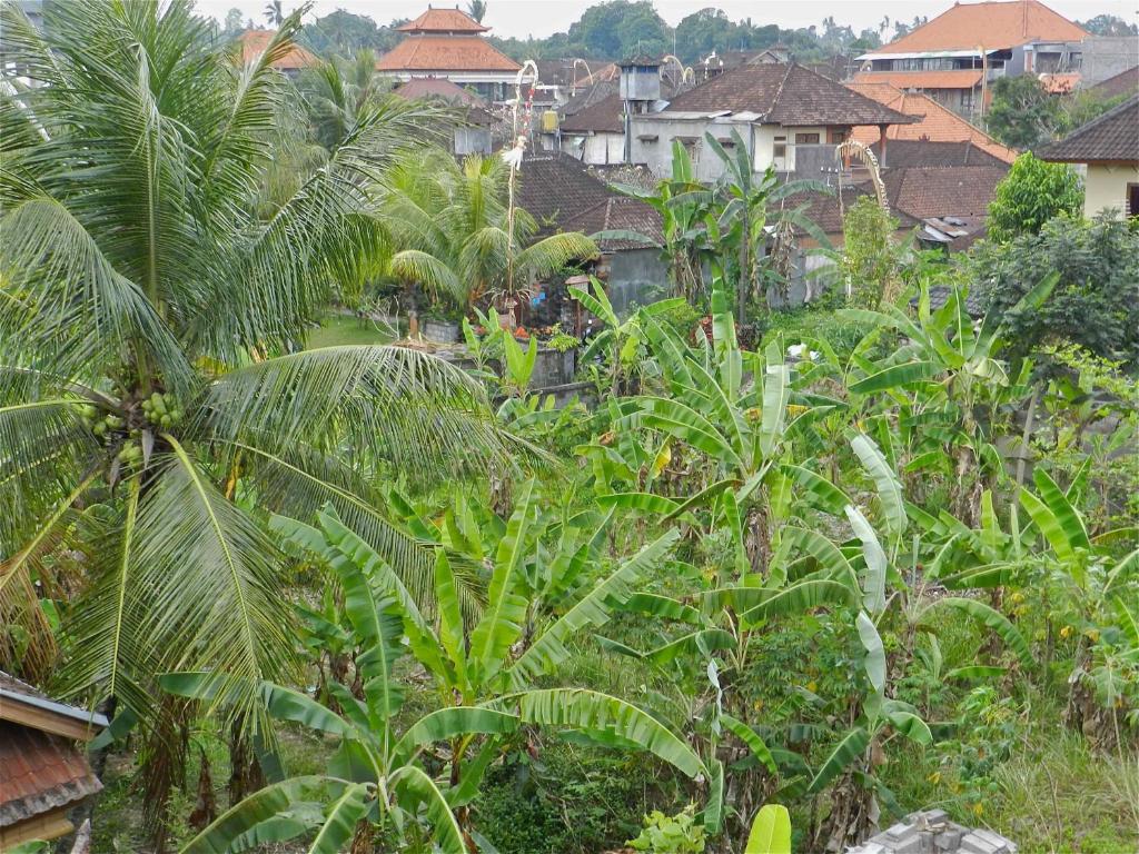 vistas a una localidad con palmeras y edificios en Kori Bali Inn I en Ubud