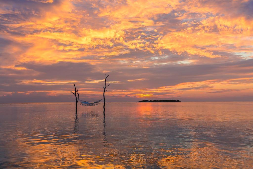 Sun Siyam Vilu Reef - 24 Hours All-Inclusive Dine-Around with Complimentary Return Trip - View 37