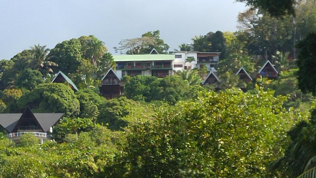 a building on top of a hill with trees at Mango Lodge in Anse Volbert Village