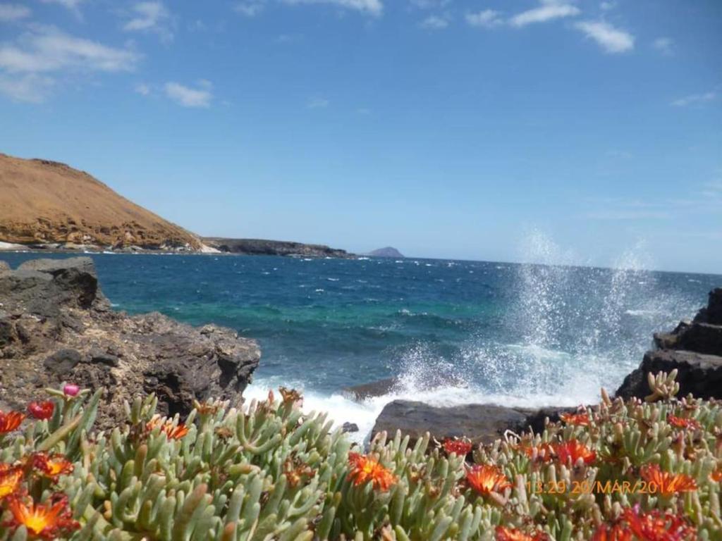widok na ocean z kwiatami na skałach w obiekcie Frontera Primavera w mieście Costa Del Silencio