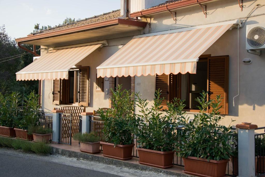 Stella CilentoにあるAppartamenti Droroの鉢植えの家