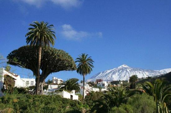 a city with palm trees and a mountain in the background at Chalet Las Viñas in Icod de los Vinos