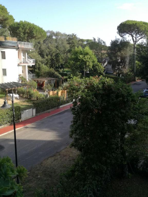 a bush sitting on the side of a street at Lagomare Puccini in Torre del Lago Puccini