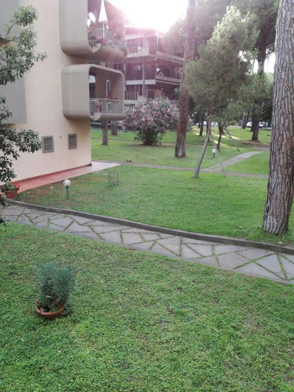 a plant in the grass next to a building at Lagomare Puccini in Torre del Lago Puccini