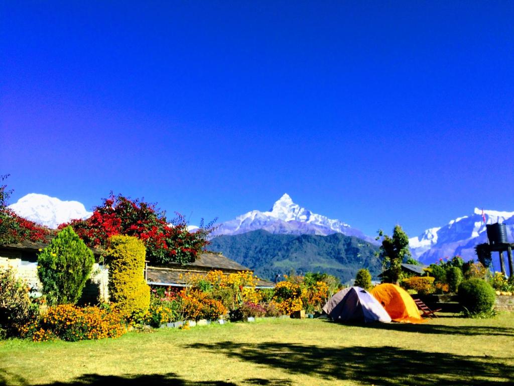 a tent in a field with mountains in the background at Annapurna Eco Village in Pokhara