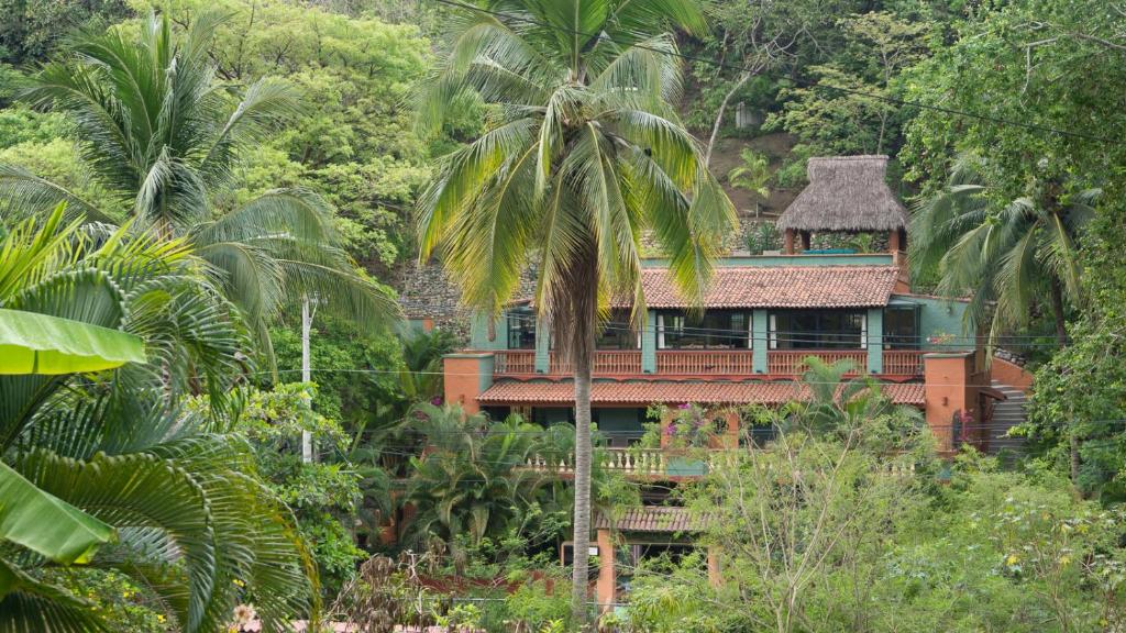 a house in the middle of a jungle with a palm tree at Villa Iguana Verde in Sayulita