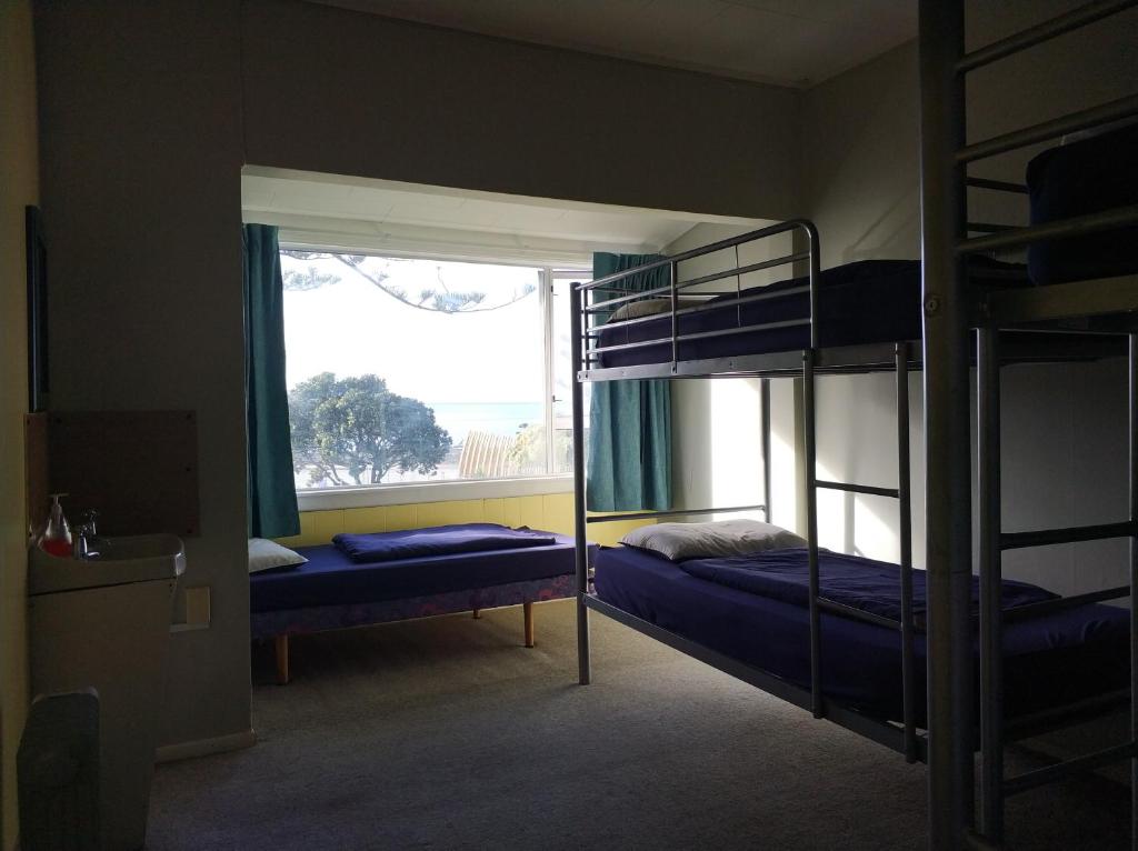 
Bunk Bed in Mixed Dormitory Room
