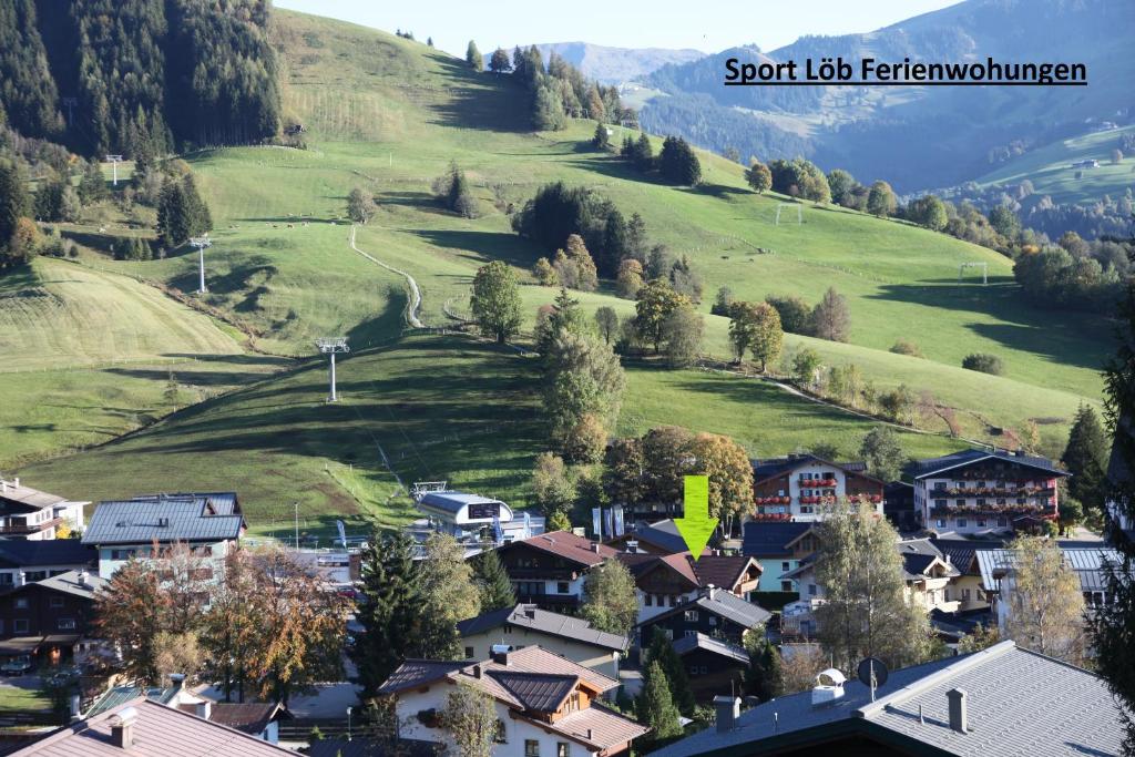 a small town in a valley with a green hill at Ferienwohnungen Sport Löb in Maria Alm am Steinernen Meer