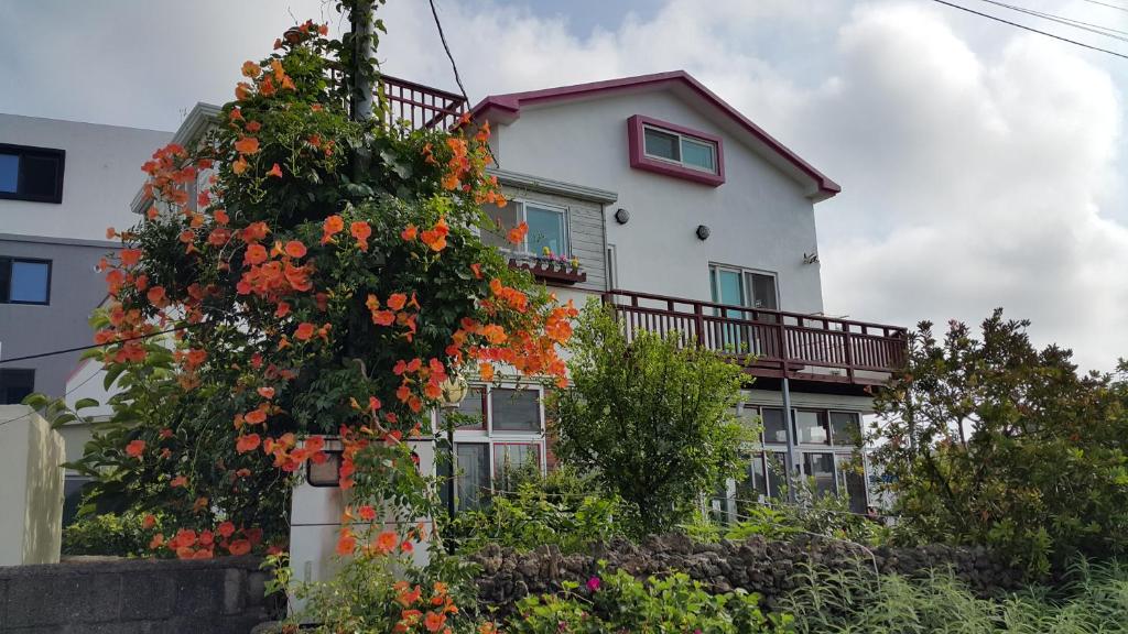 una casa blanca con un árbol floreciente delante de ella en Bangdigareum B&B, en Seogwipo