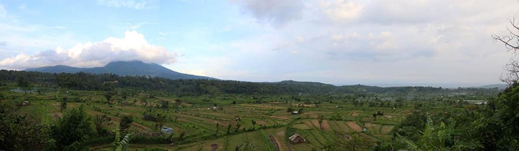 Pandan Guest House
