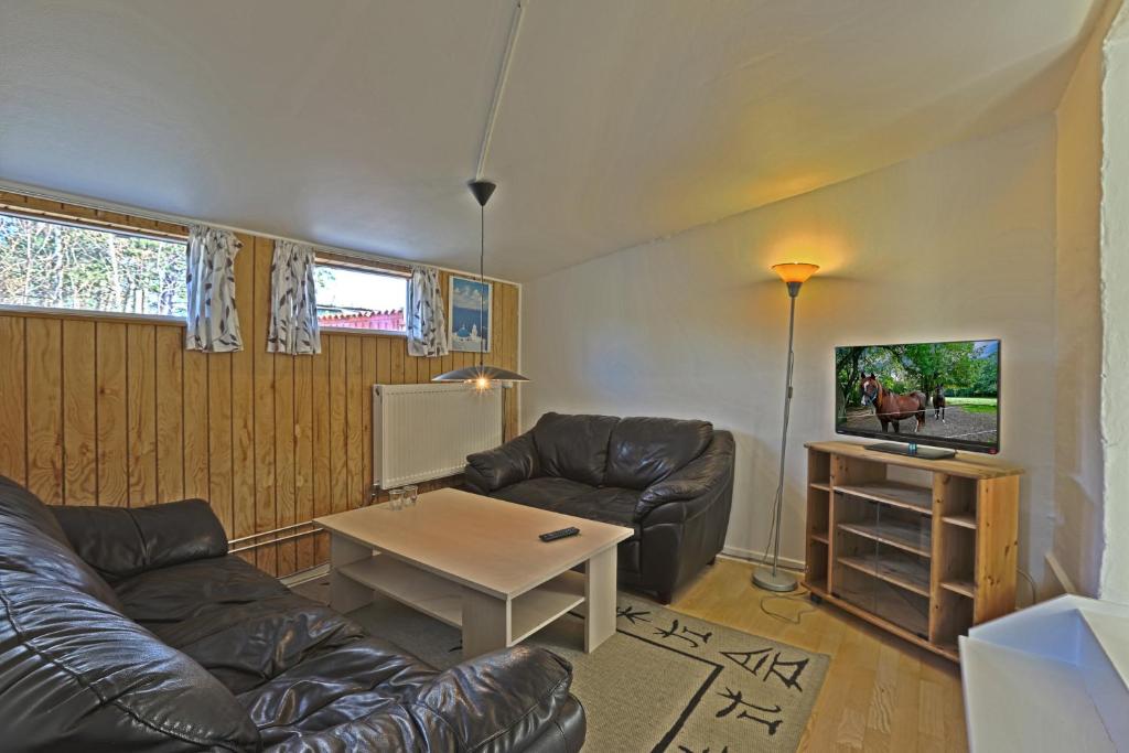 TV a/nebo společenská místnost v ubytování Strandens Apartment