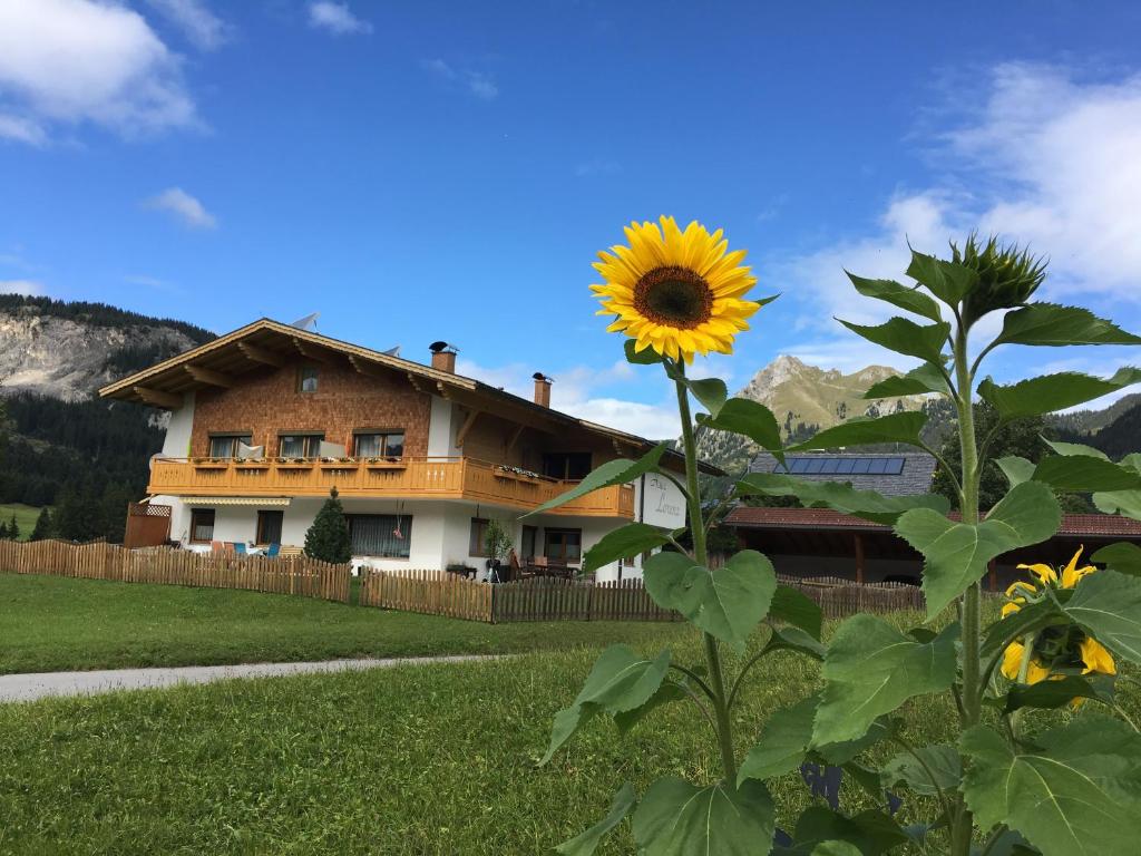 eine Sonnenblume vor einem Haus in der Unterkunft Haus Lorenz in Grän